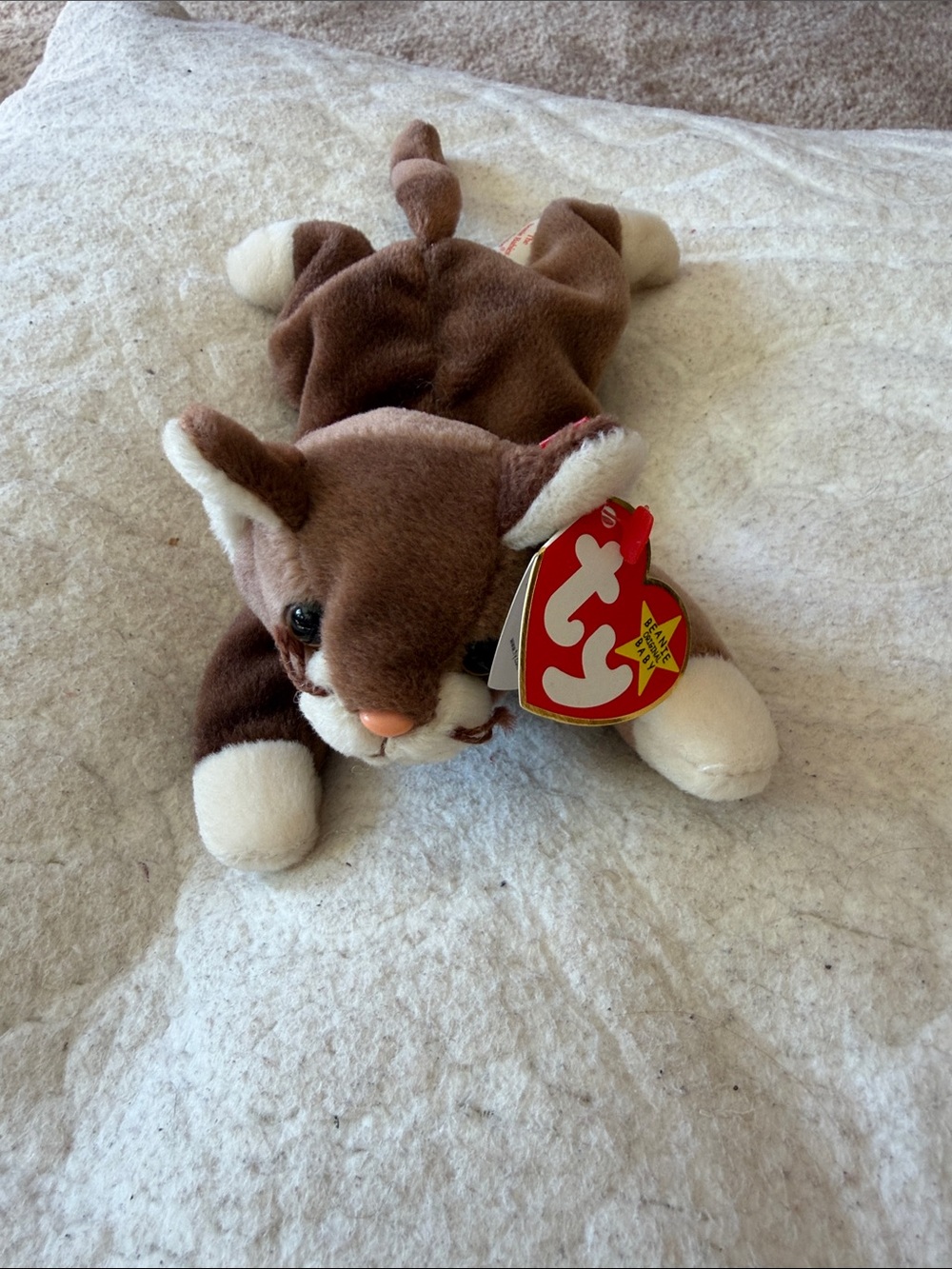 Ty New Beanie Baby Pounce Cat Plush - Brown and White